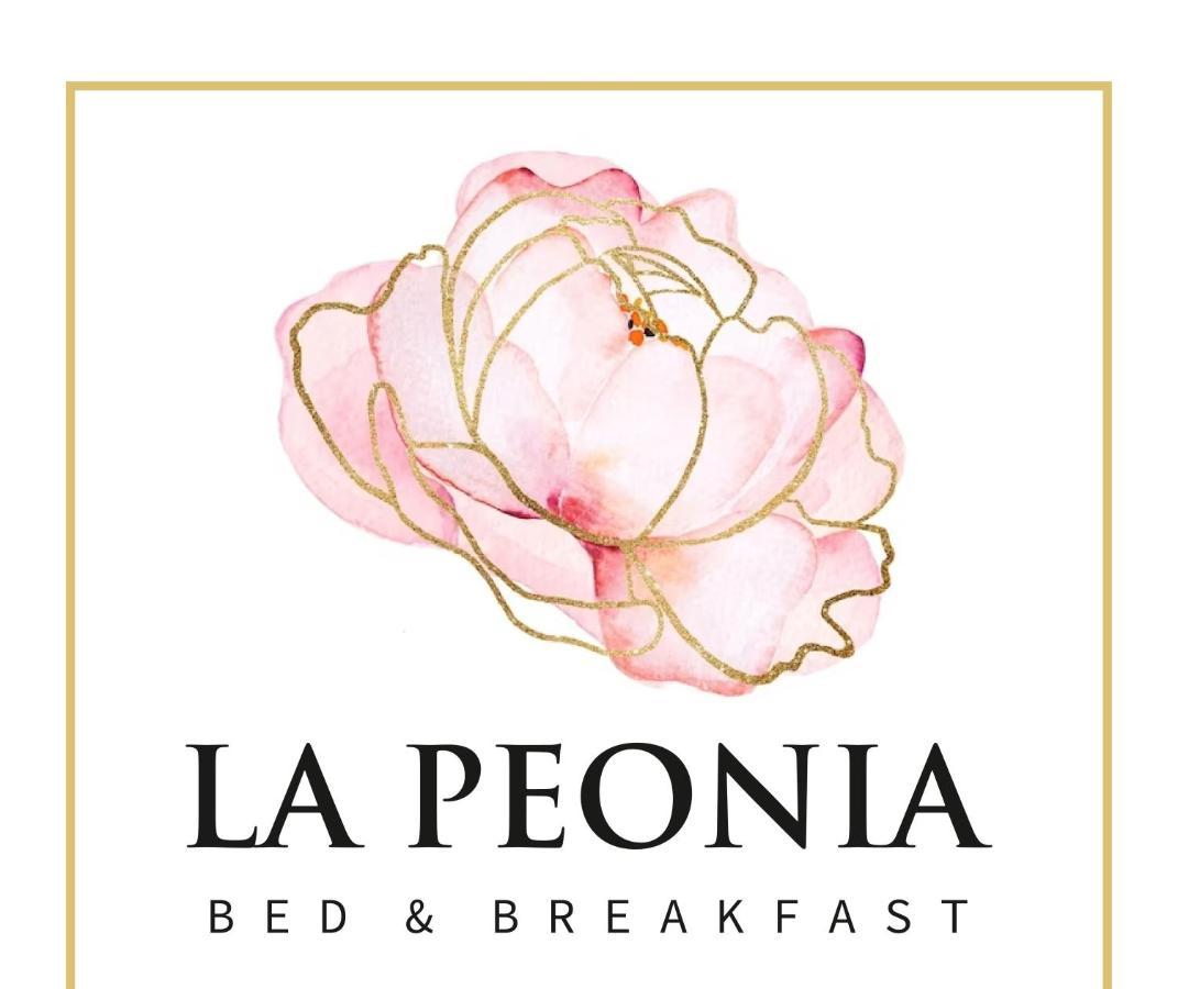 راغوزا La Peonia B&B المظهر الخارجي الصورة