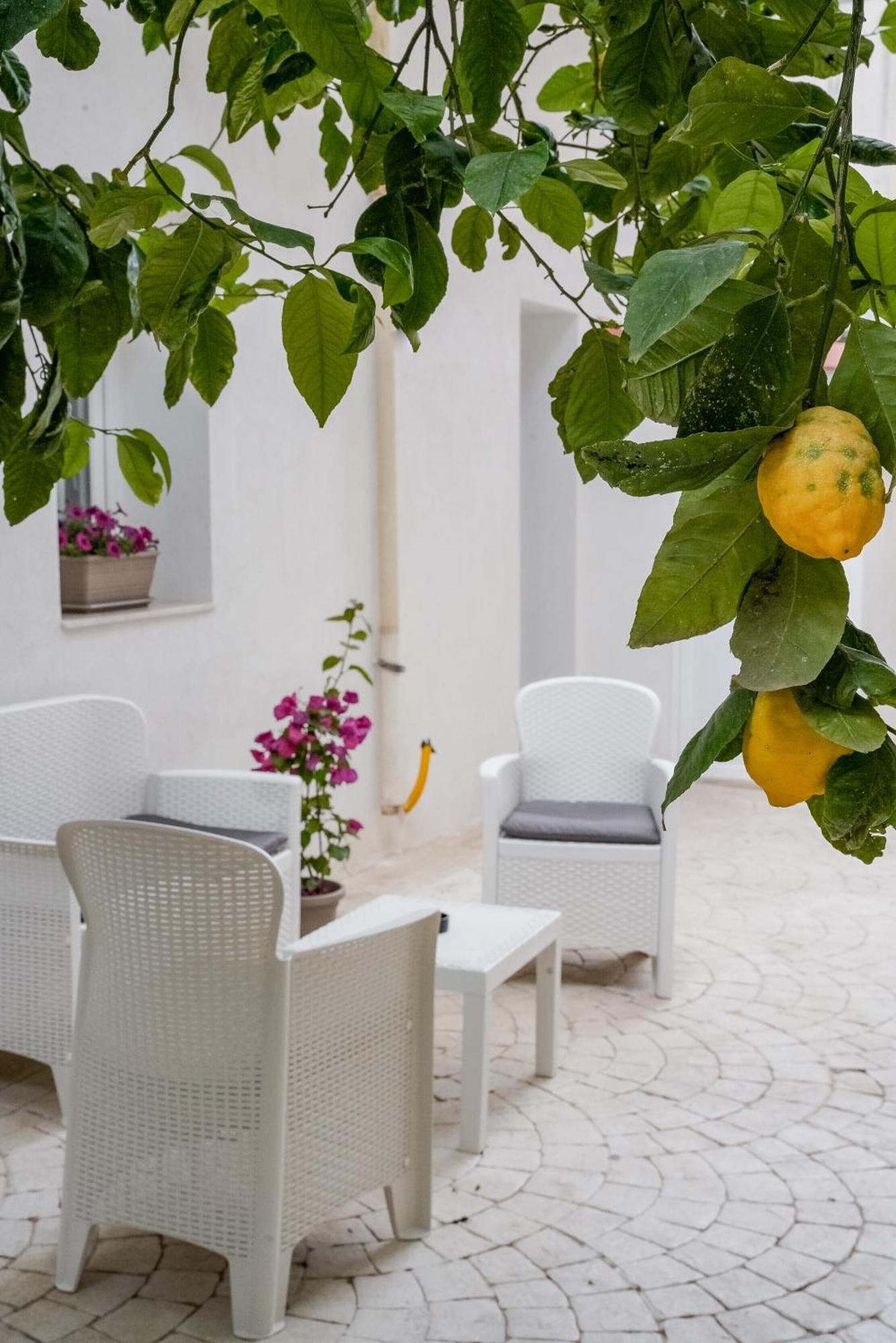 راغوزا La Peonia B&B المظهر الخارجي الصورة